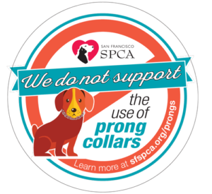 We do not support the use of prong collars