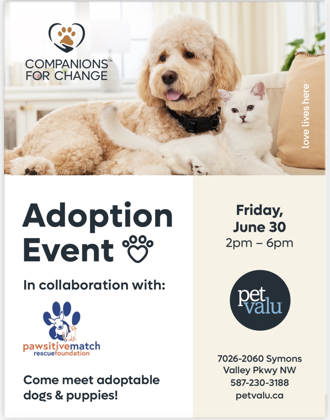 Adoption Events - Pawsitive Match Rescue Foundation - Calgary Based Dog ...