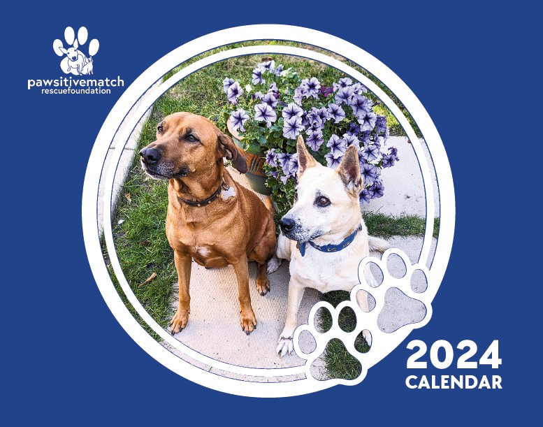 2024 Calendar (Mailed)