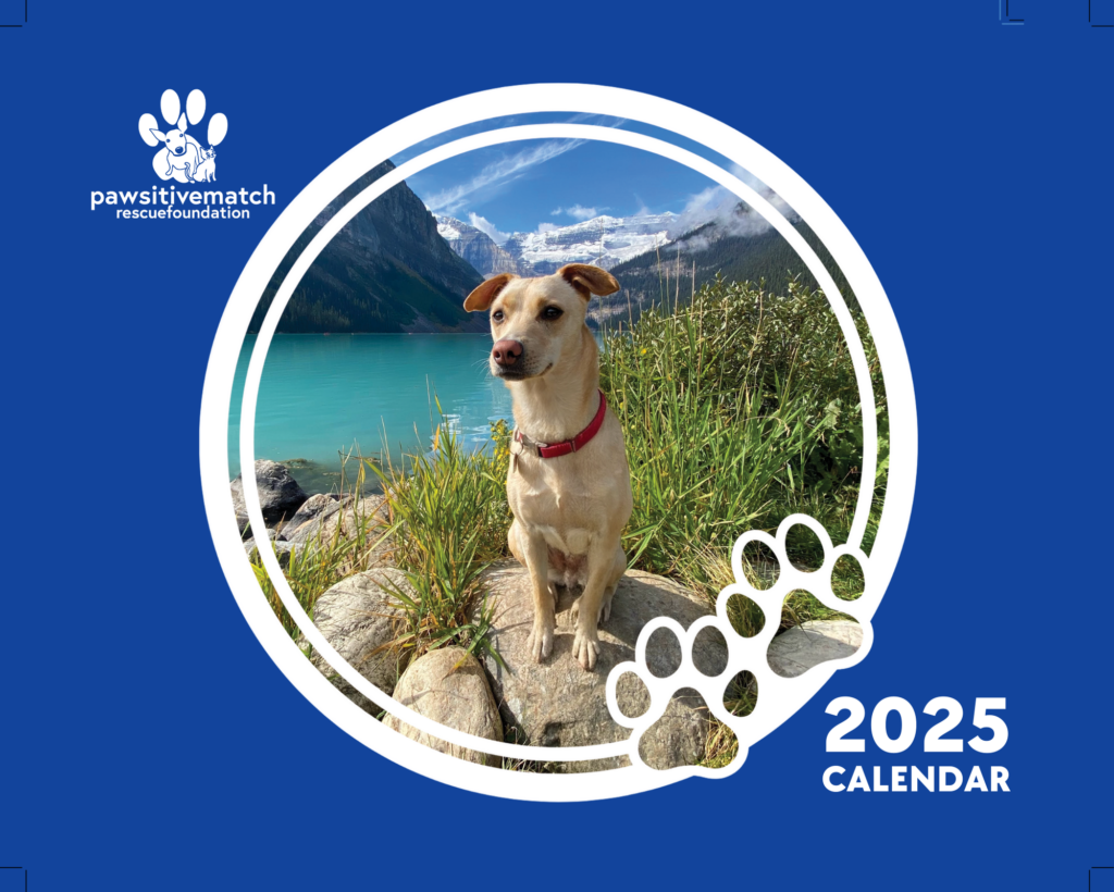 2025 Calendar (Mailed)