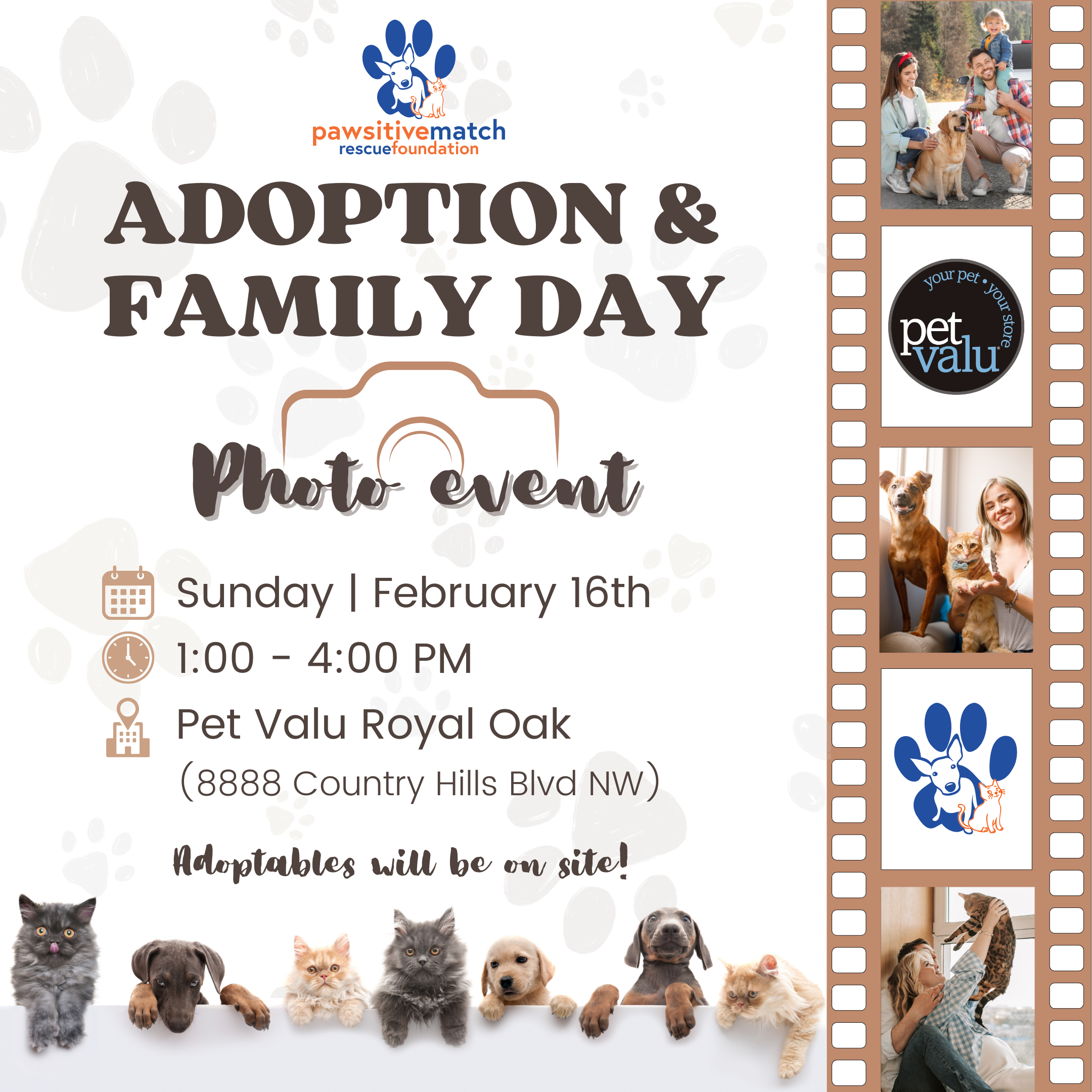 Adoption/Family Day Photos Event at Royal Oak Pet Valu