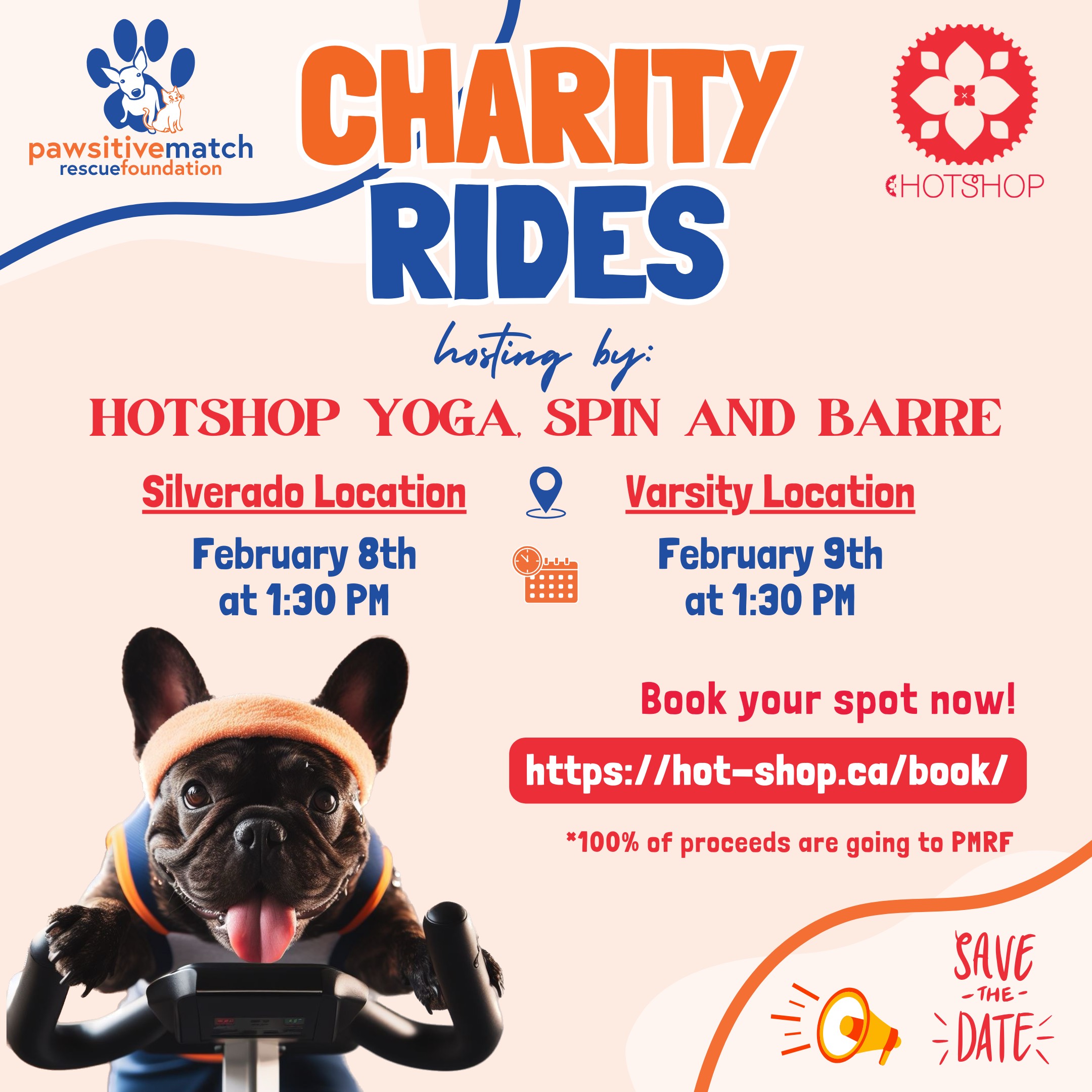 HotShop X Pawsitive Match Charity Spin